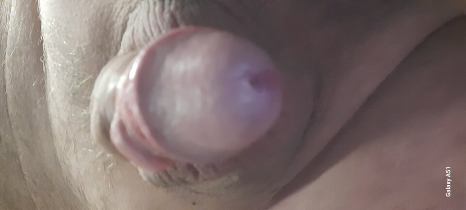 17586710441683936078522332491774.jpg - CINEK7788