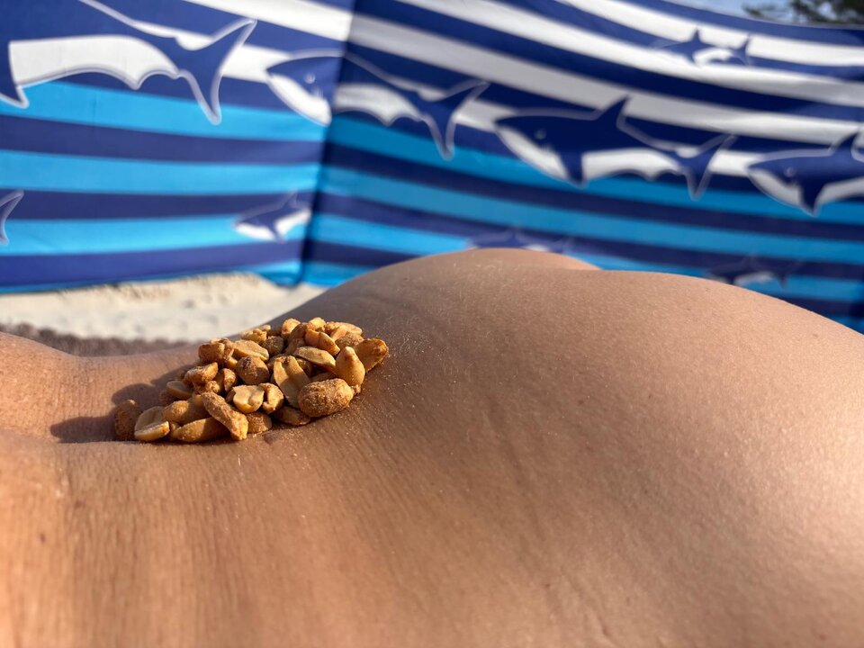 Masz ochotę na orzeszka? - Dona_Trim