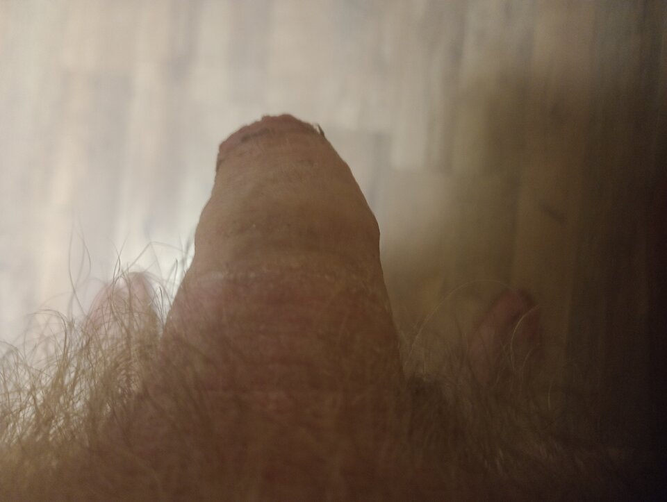 IMG_20250925_000110002_MFNR.jpg - ROBWEN86