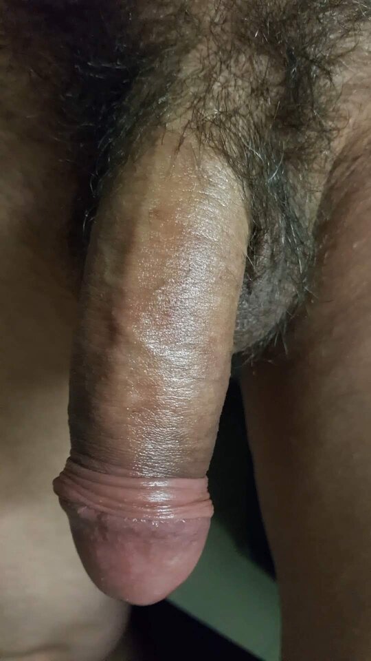 20181214_041852_capture.jpg - Whitelittlecock