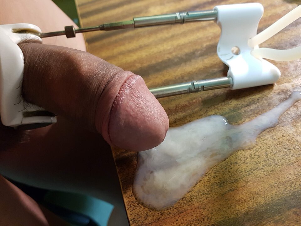 20190808_030451.jpg - Whitelittlecock