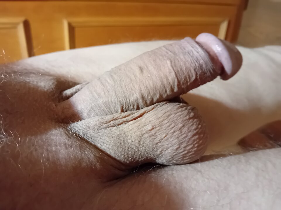 1000008796.jpg - brus13