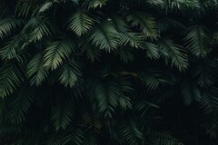 pexels-catiamatos-1072179.jpg