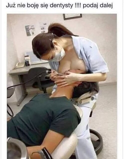 554775544_122112691802993230_8828273219728612484_n.jpg - shrek707