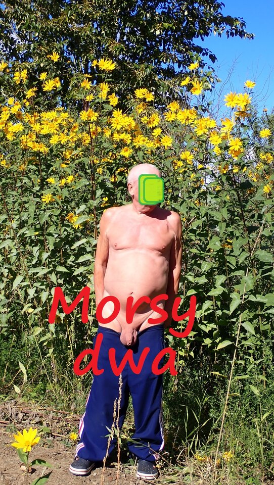 Przerwa w podróży na zdjęcia. - Morsy_dwa