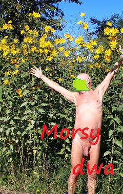 Przerwa w podróży na zdjęcia.