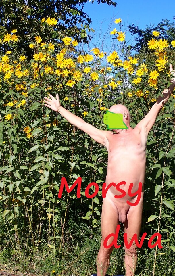 Przerwa w podróży na zdjęcia. - Morsy_dwa