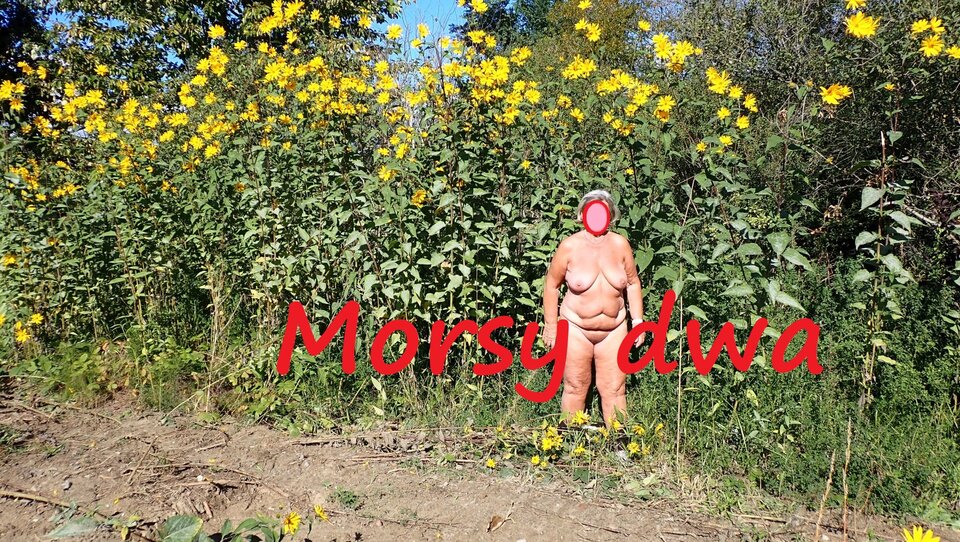 Przerwa w podróży na zdjęcia. - Morsy_dwa