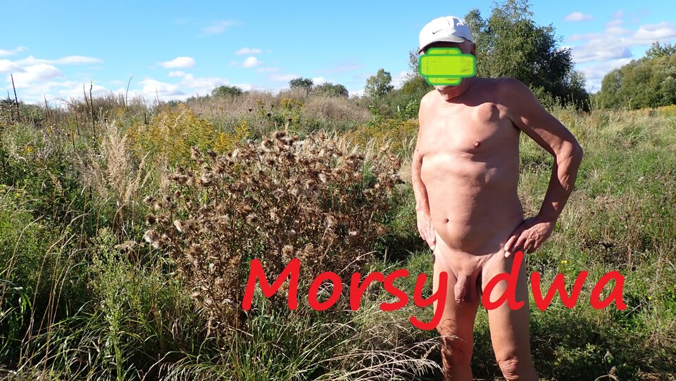 Przerwa na parę fotek. - Morsy_dwa