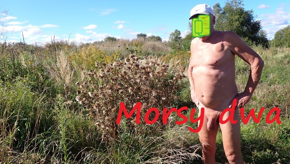 Przerwa na parę fotek. - Morsy_dwa