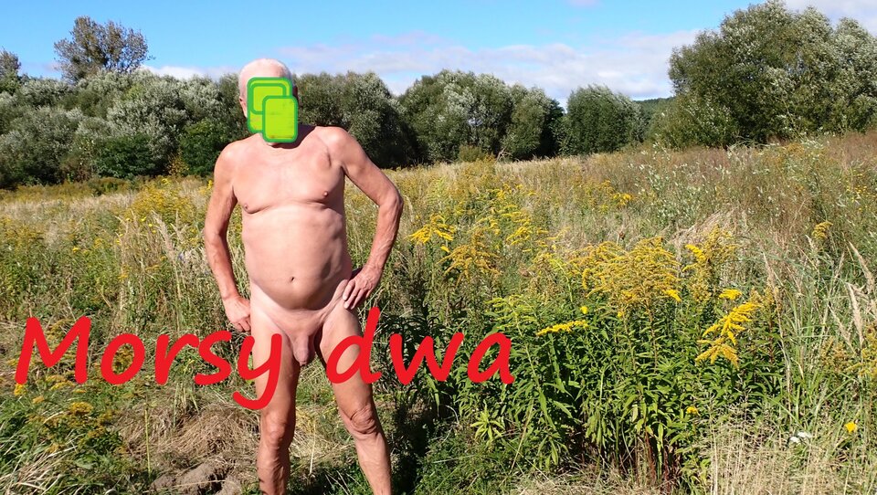 Przerwa na parę fotek. - Morsy_dwa