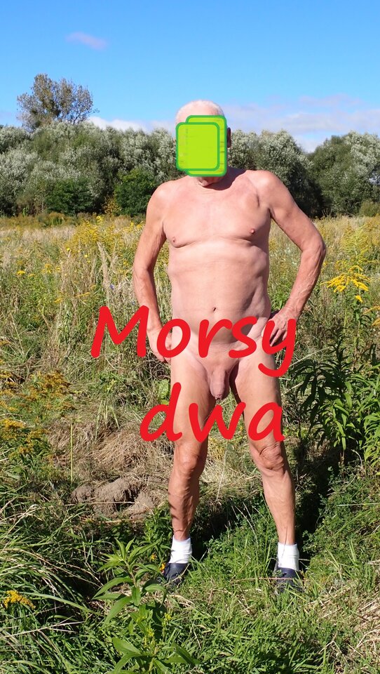 Przerwa na parę fotek. - Morsy_dwa