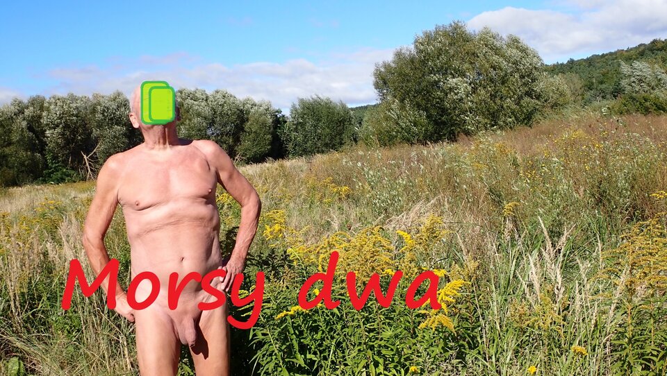 Przerwa na parę fotek. - Morsy_dwa