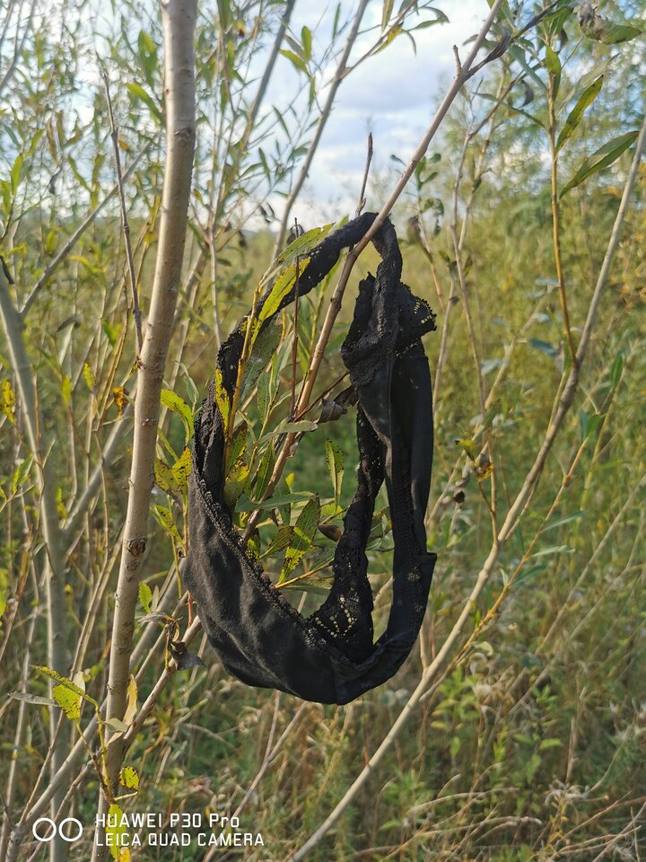 IMG_20250922_170408.jpg - Marioo9000