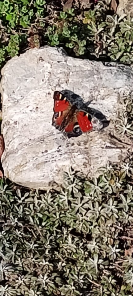 IMG20250321141613.jpg - Zapamietaj3