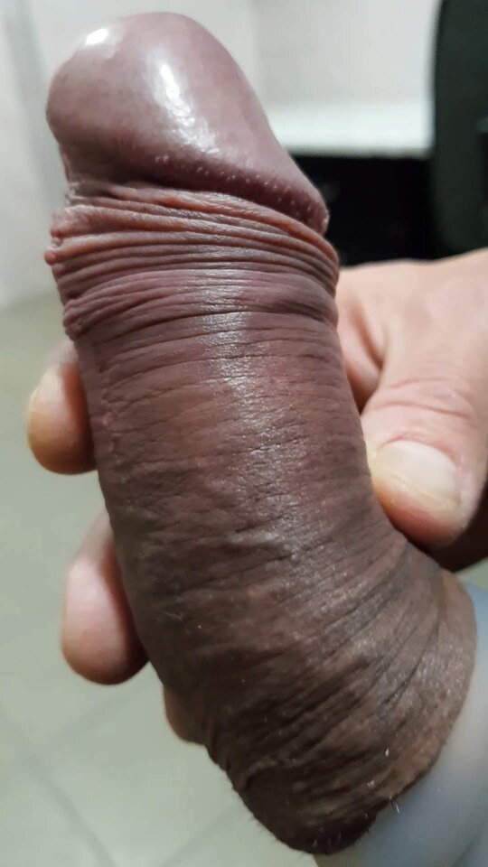 20181029_190427_capture.jpg - Whitelittlecock