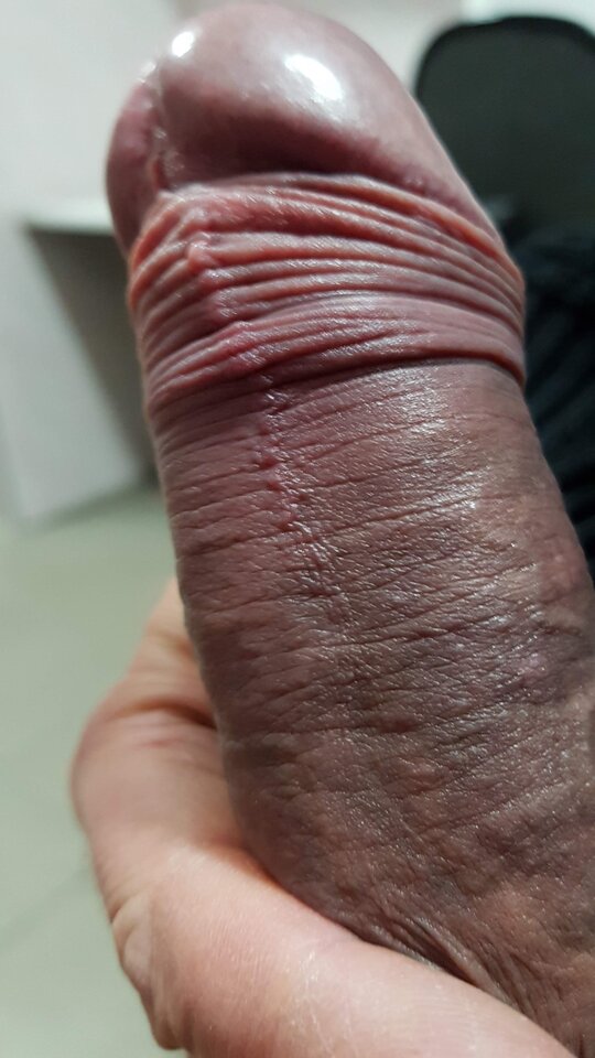 20181029_190457.jpg - Whitelittlecock