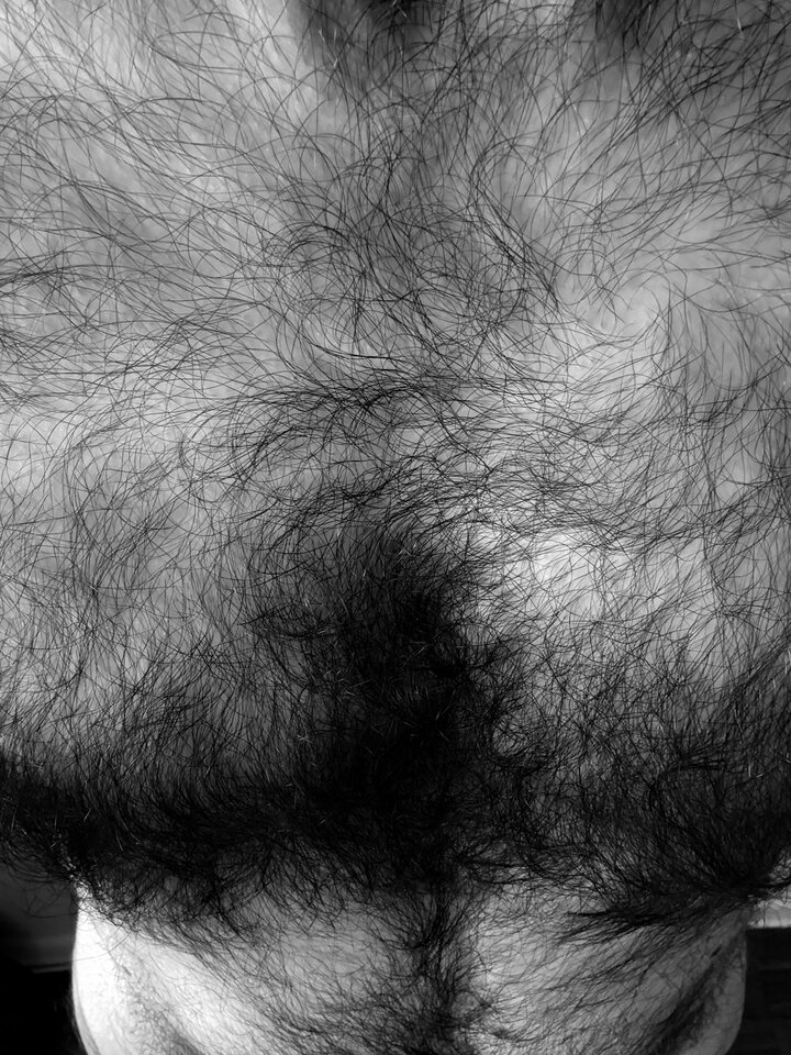 IMG_8194.jpeg - Mozeteraz91