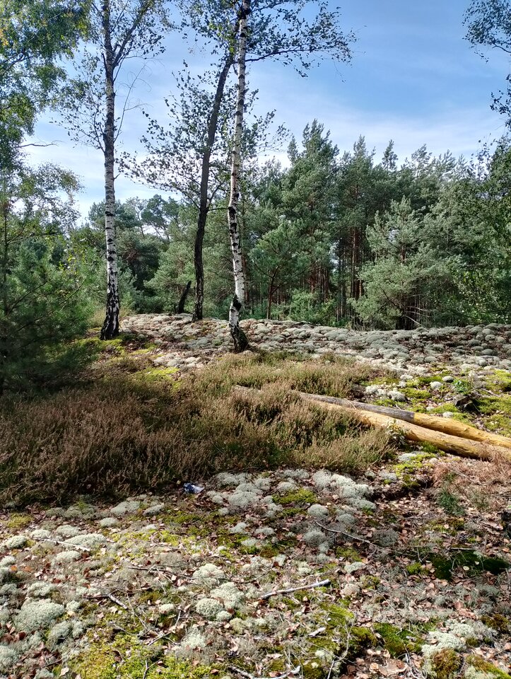 IMG_20250926_114148.jpg - Patrze_w_niebo