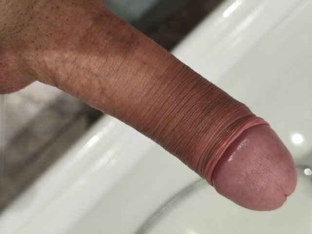 Inspirado_en_perras