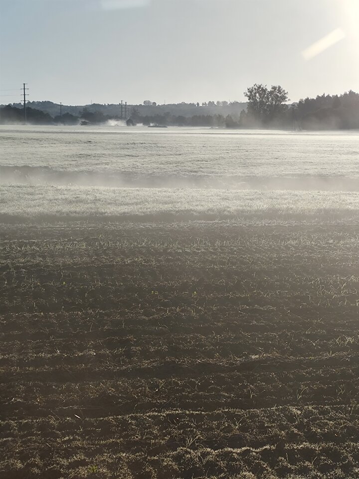 1000000805.jpg - napalony2324