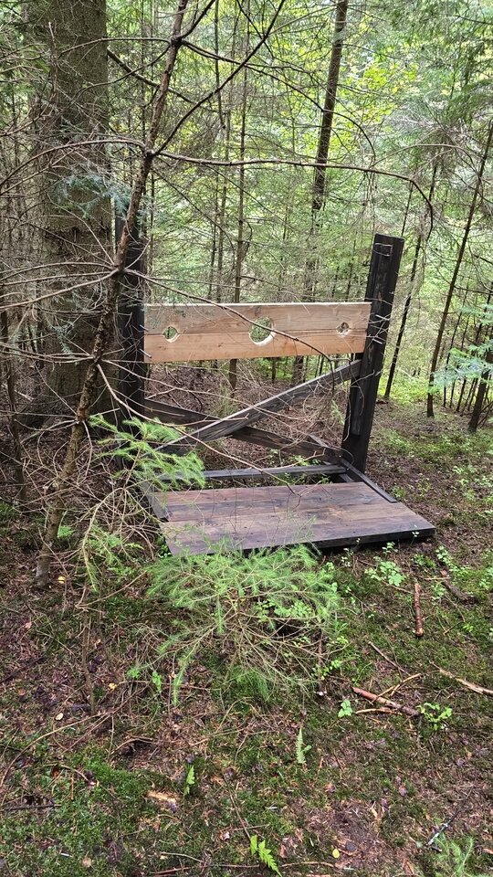 1000006739.jpg - Robimygo