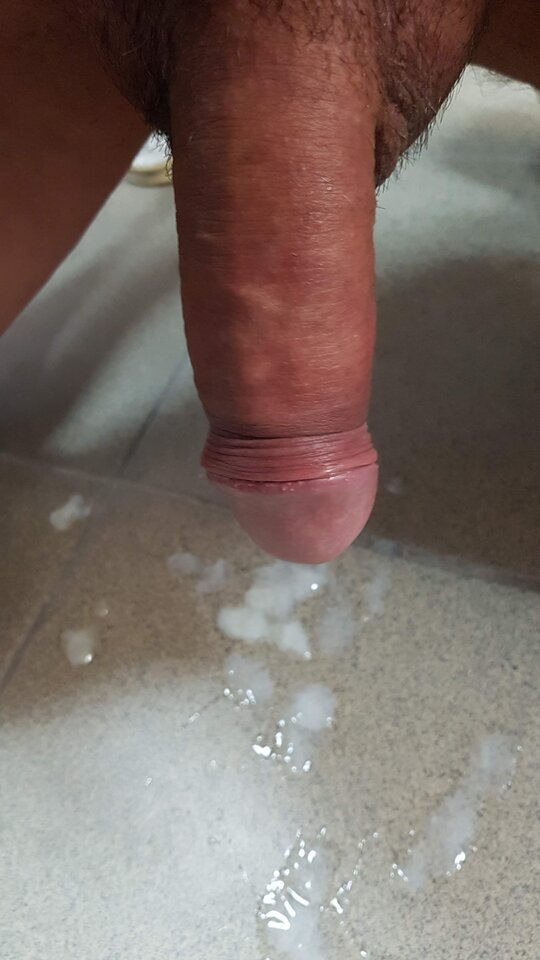 20190209_023423.jpg - Whitelittlecock