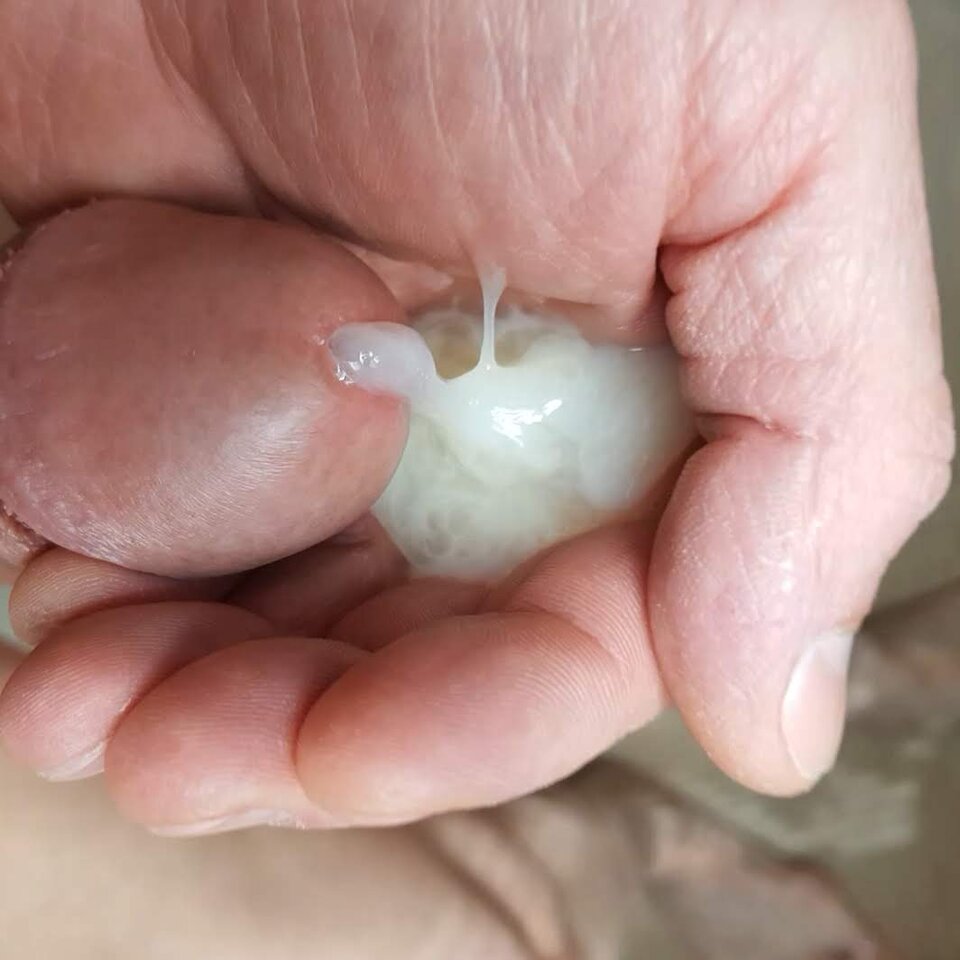 20220728_231048.jpg - Whitelittlecock