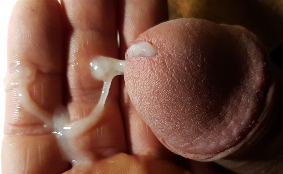 20200129_225405.jpg - Whitelittlecock