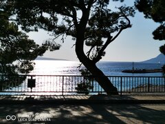 IMG_20250430_173948.jpg