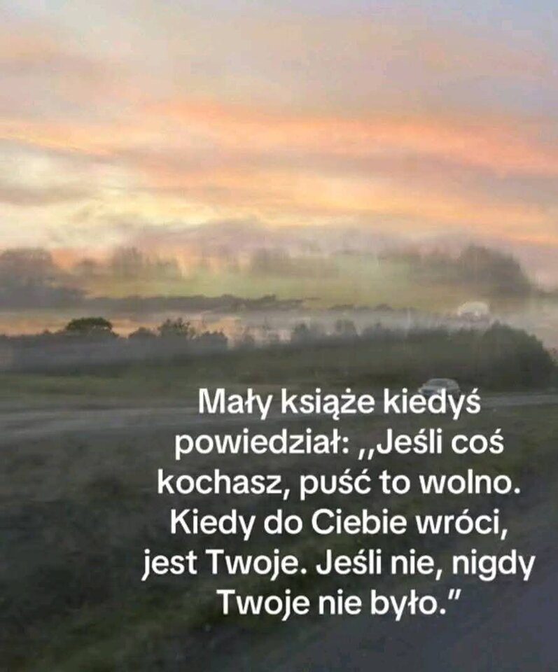 1000015927.jpg - MarioLatex007