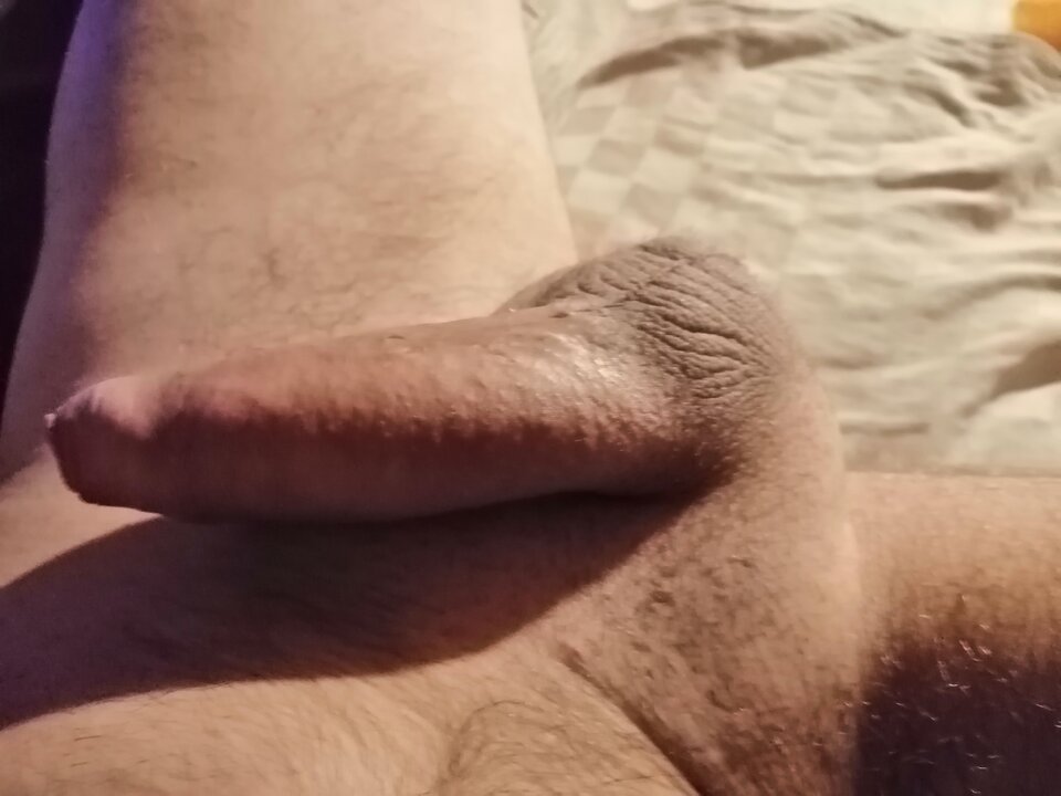 IMG_20250923_021654.jpg - Alerura