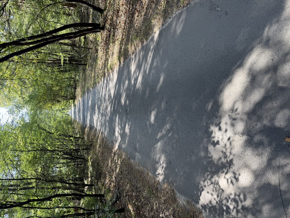 IMG_6178.jpeg - Zniszczonyon