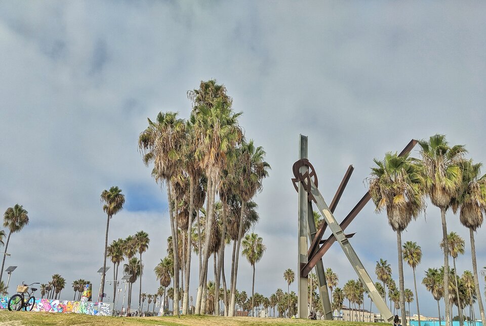 palm - Bunnyandwolfie1