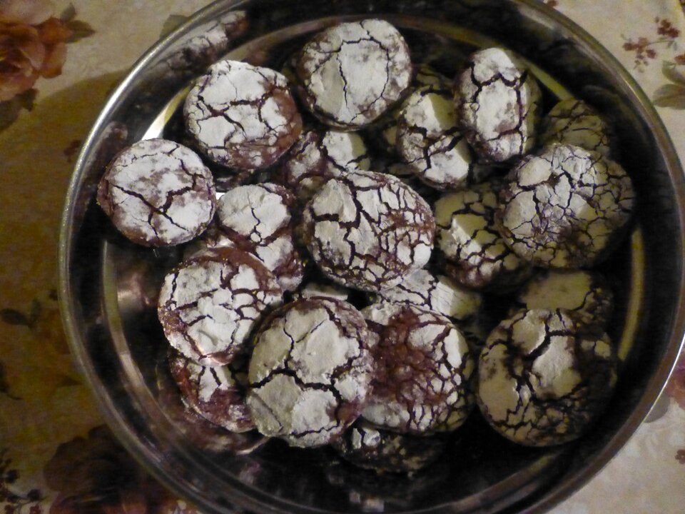 P1060126.JPG - Damapik78