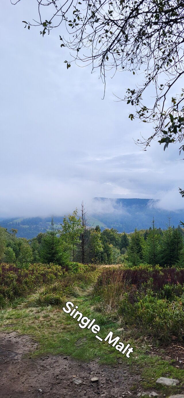 Single_Malt