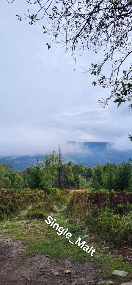 1000121914.jpg - Single_Malt