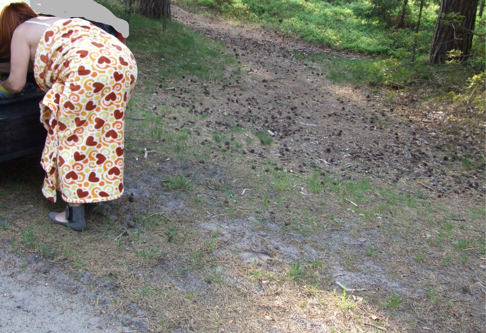 Koniec zabawy tu - chanel 2