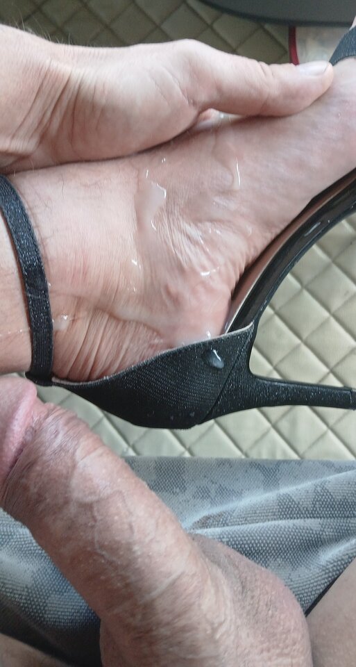 1000013827.jpg - Transpola