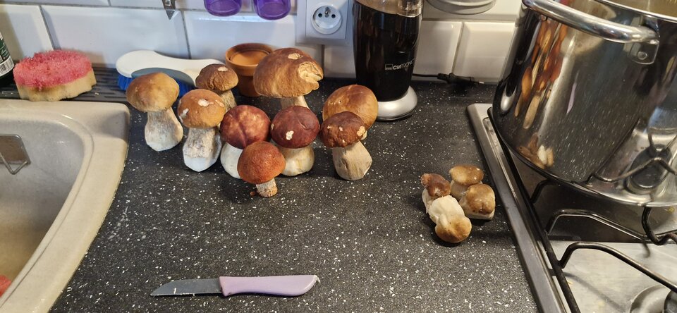 1000010317.jpg - gutek1234