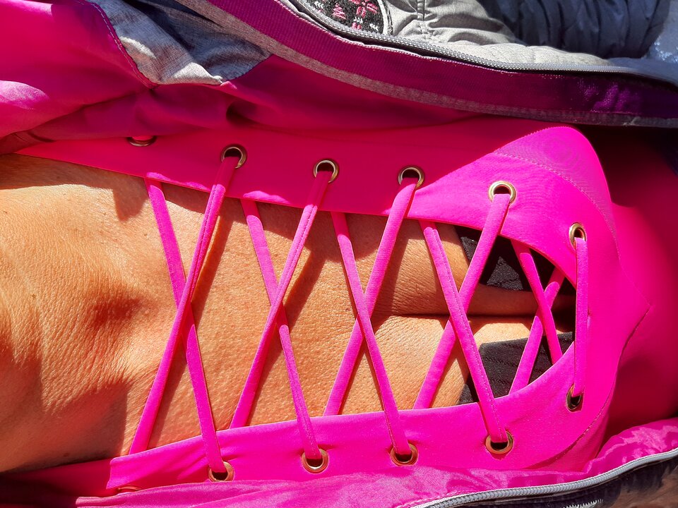 20250928_152457.jpg - kasiap1