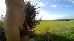 - polna droga 20250927_1355.mp4_snapshot_01.35_[202