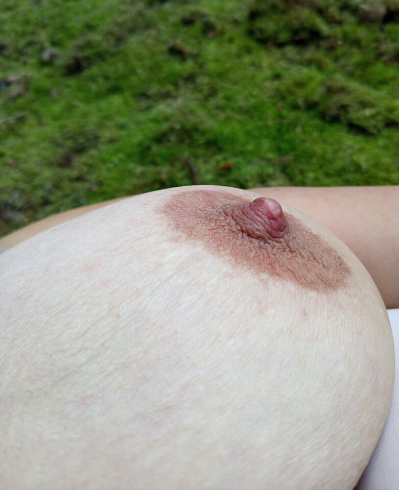 1000018049.jpg - Ciekawi_13