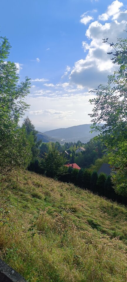 1000014450.jpg - Bull_Masters