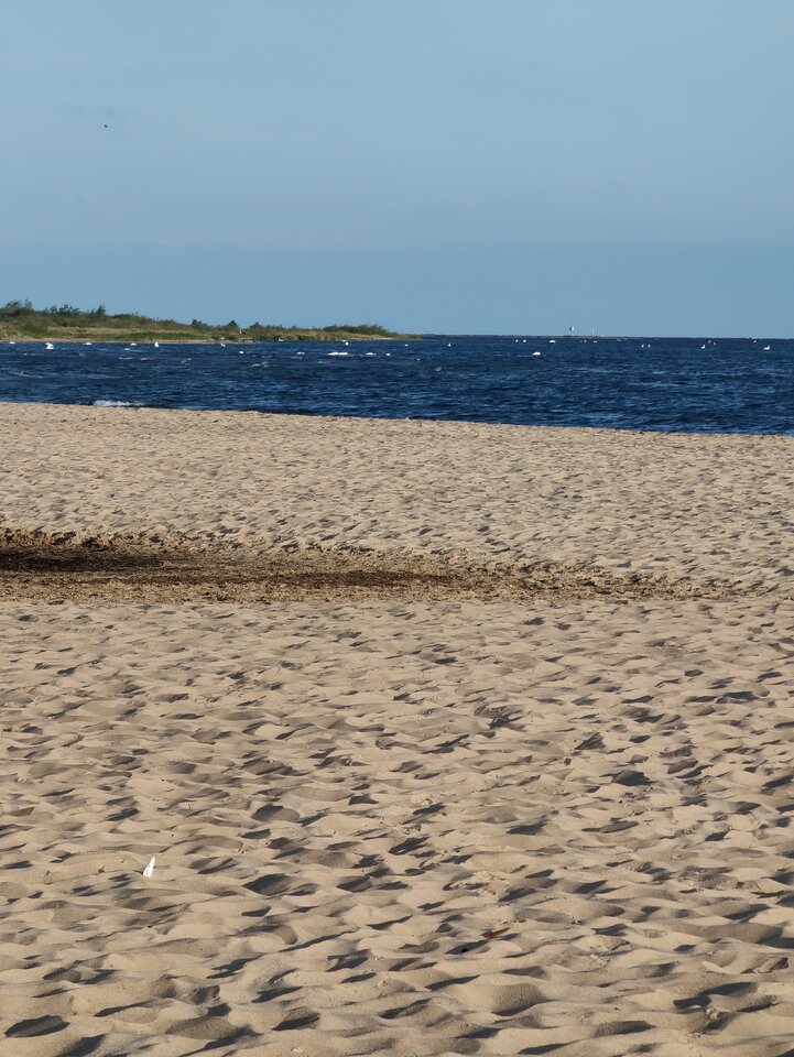 1000007586.jpg - CiekawskiOn83