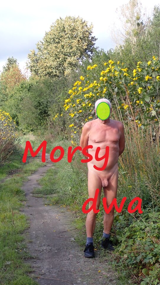 Dzisiejsza sesja z drogi. - Morsy_dwa