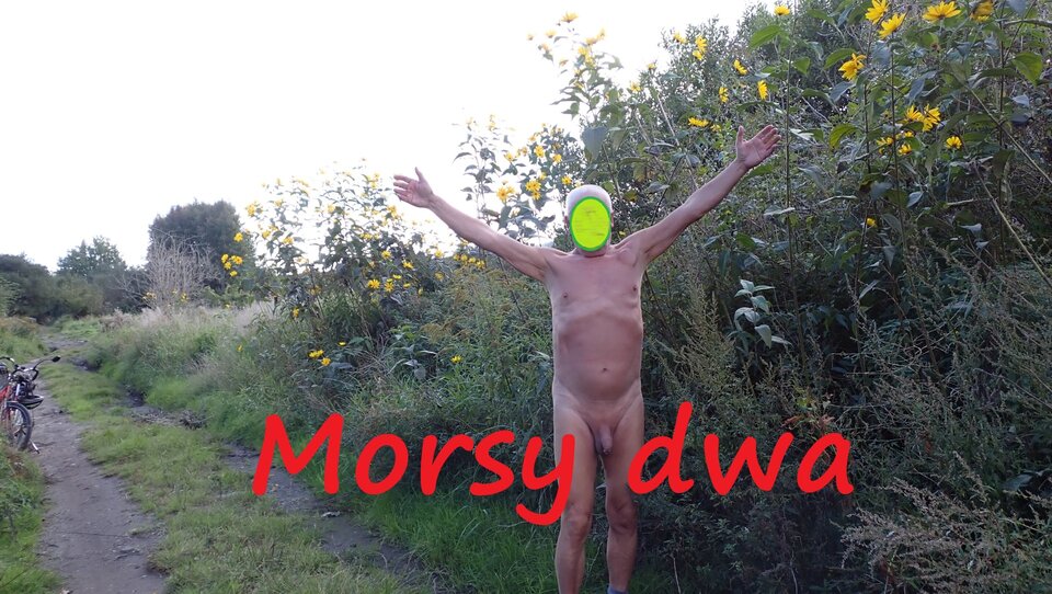 Dzisiejsza sesja z drogi. - Morsy_dwa