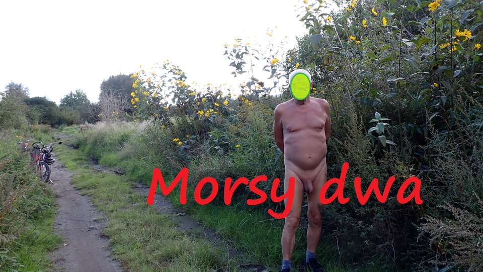 Dzisiejsza sesja z drogi. - Morsy_dwa