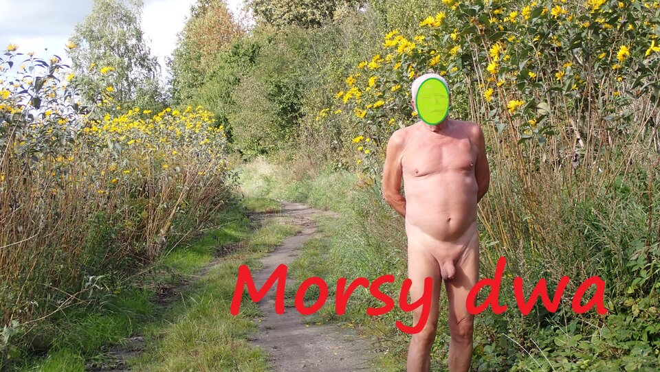 Dzisiejsza sesja z drogi. - Morsy_dwa