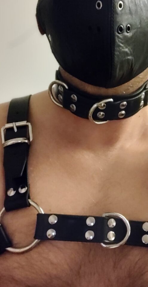 f96402b0-4b29-4850-aea6-c63585921285.jpeg - SzmataDoJebania25